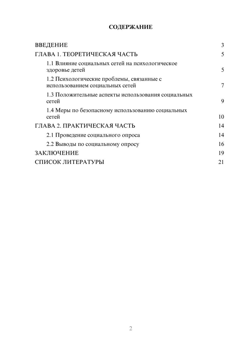 Предпросмотр проекта 2