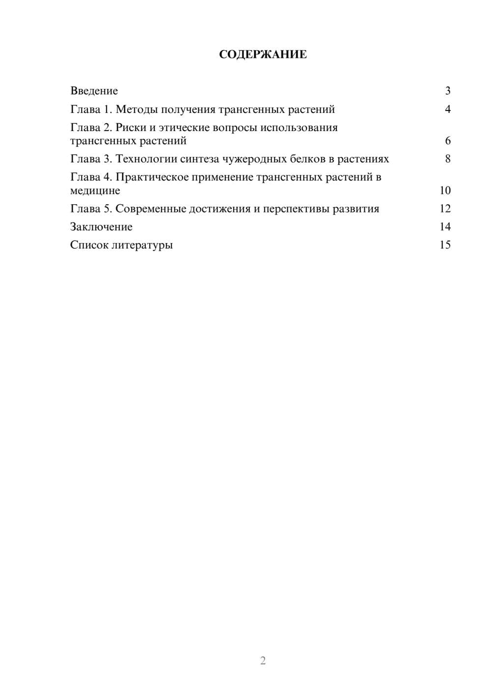 Предпросмотр доклада 2