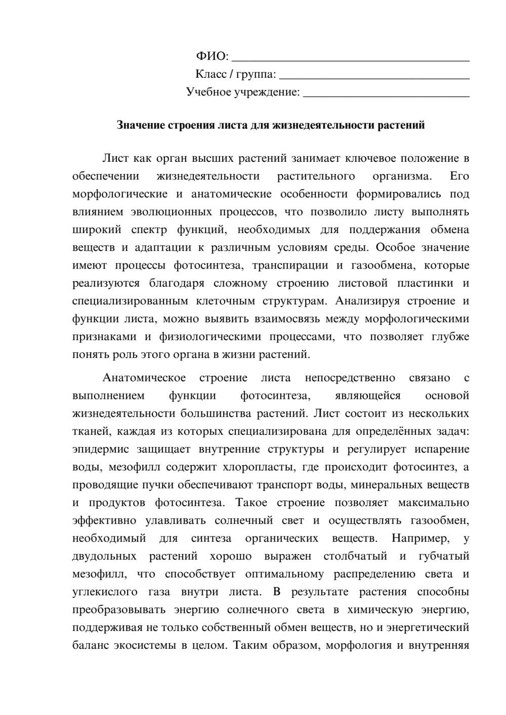 Предпросмотр эссе 1