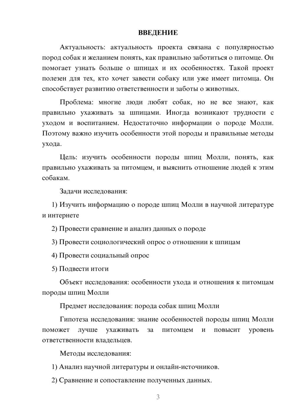 Предпросмотр проекта 3