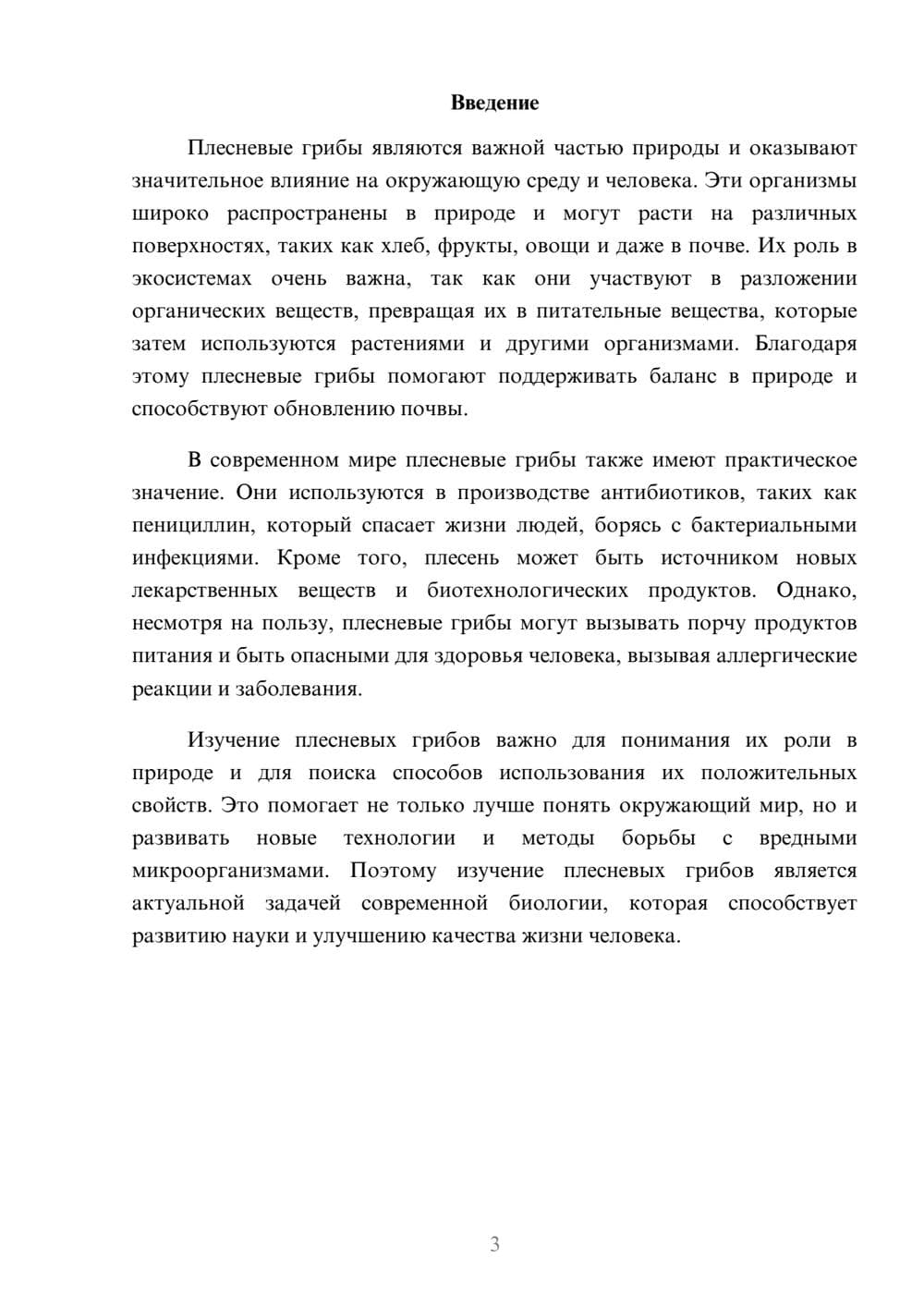 Предпросмотр доклада 3