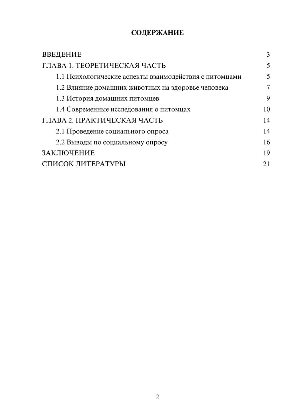 Предпросмотр проекта 2