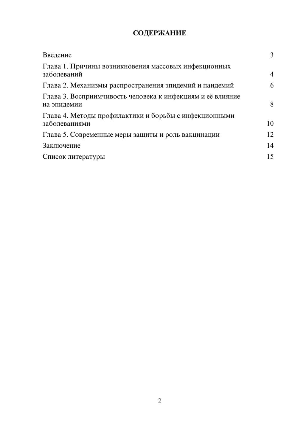 Предпросмотр доклада 2