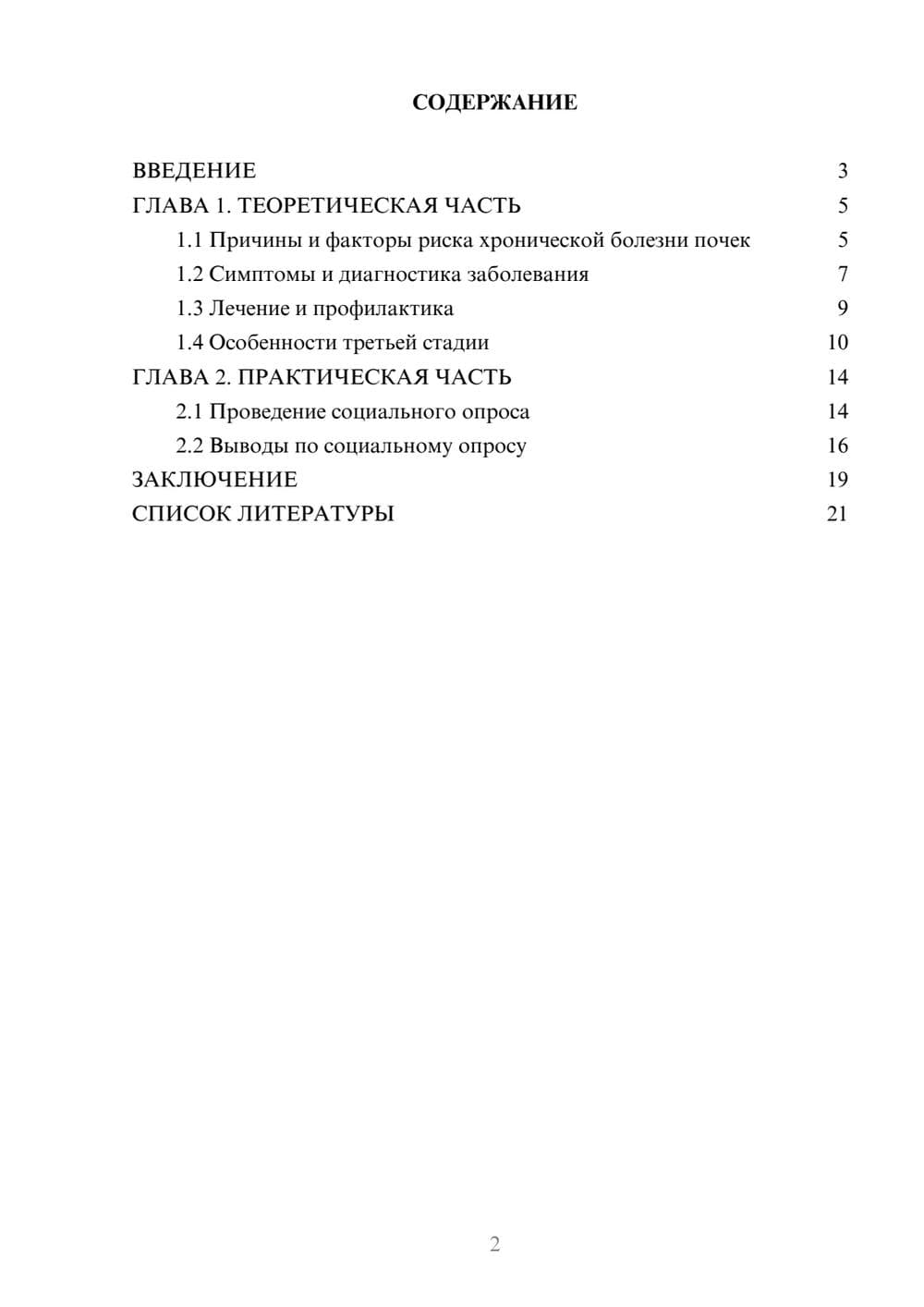 Предпросмотр проекта 2
