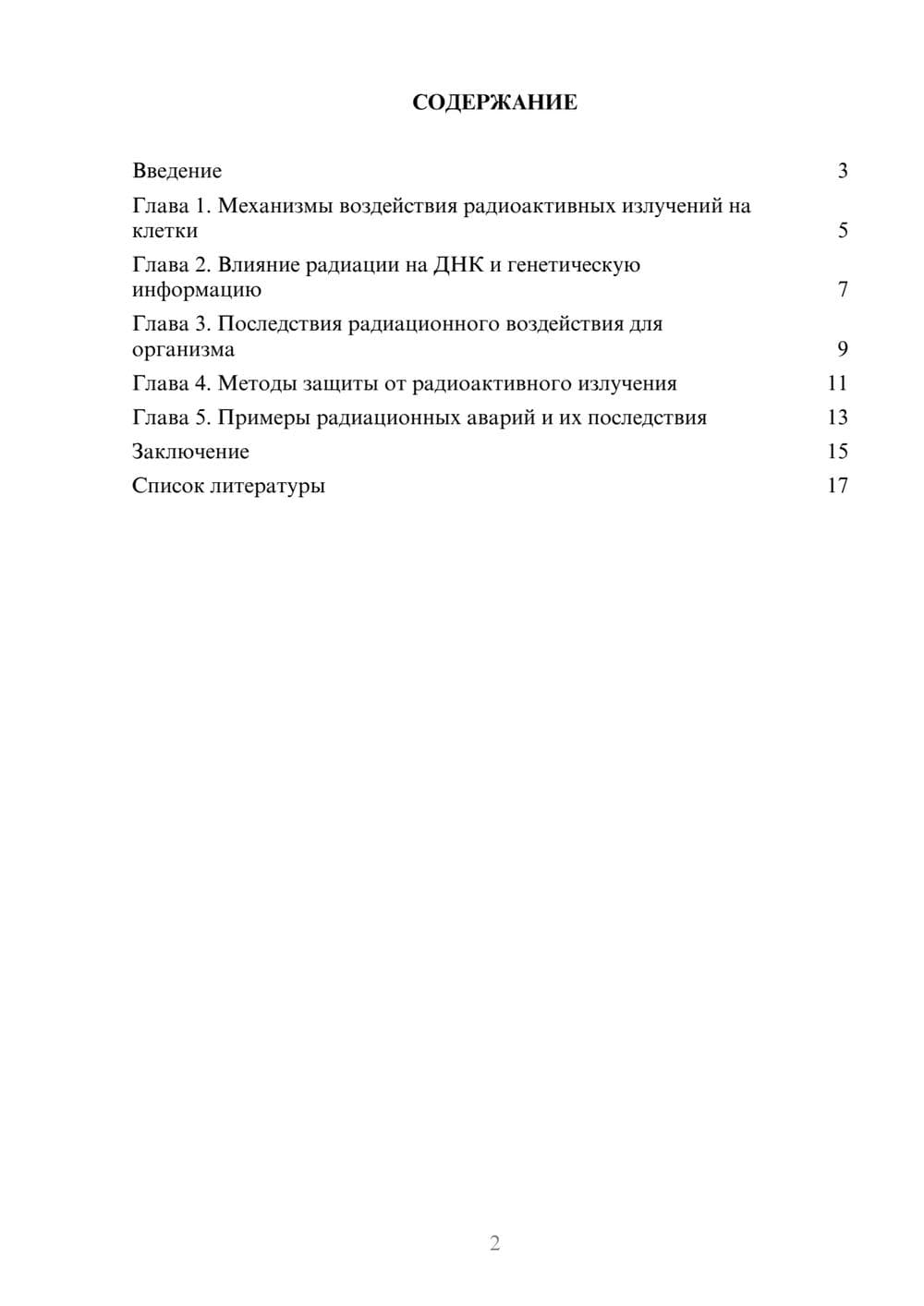 Предпросмотр доклада 2