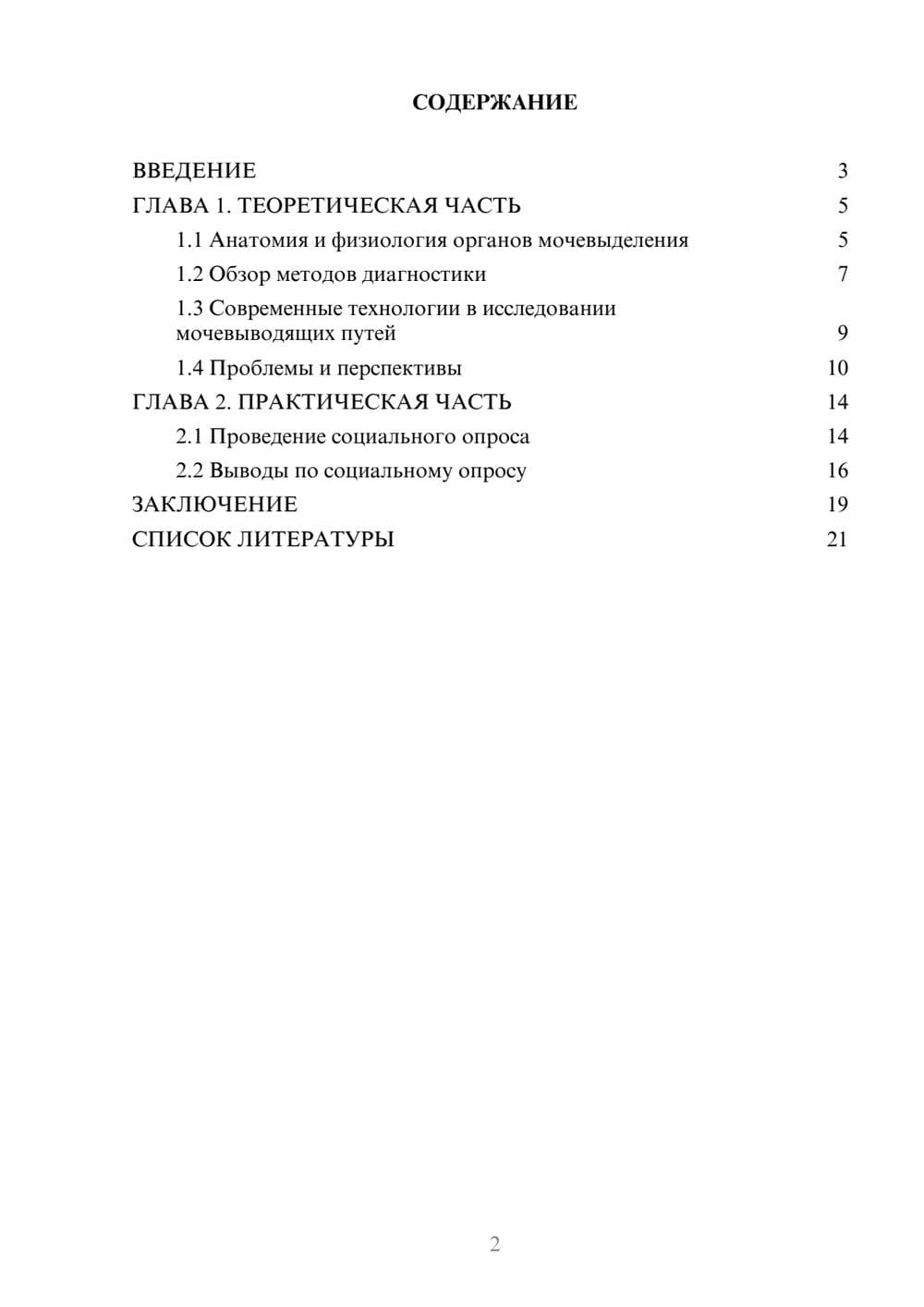 Предпросмотр проекта 2