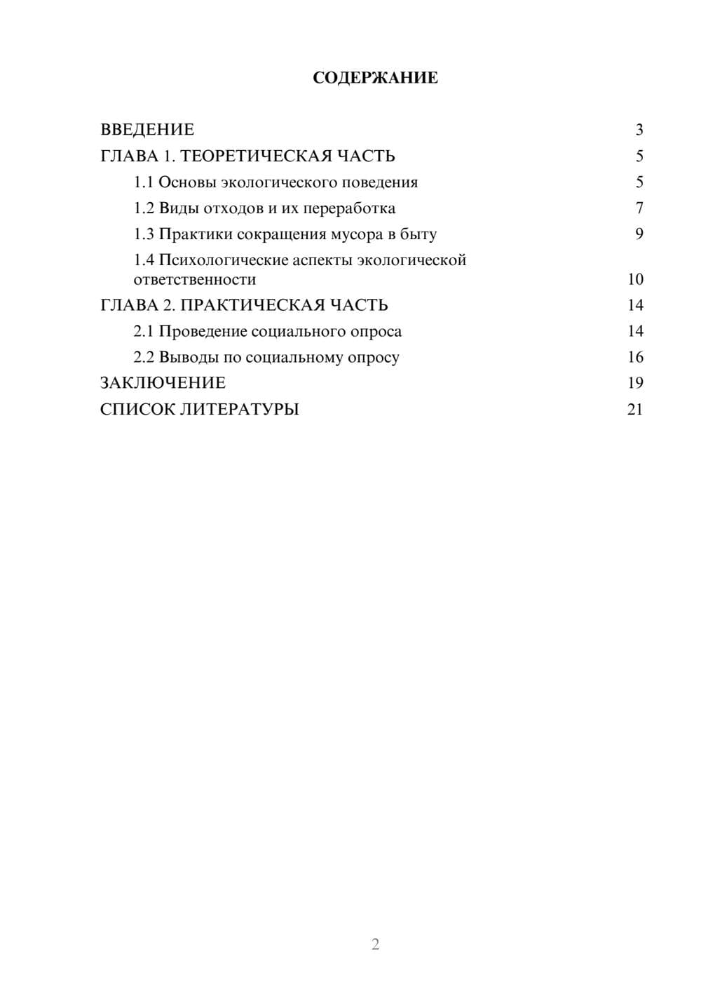 Предпросмотр проекта 2