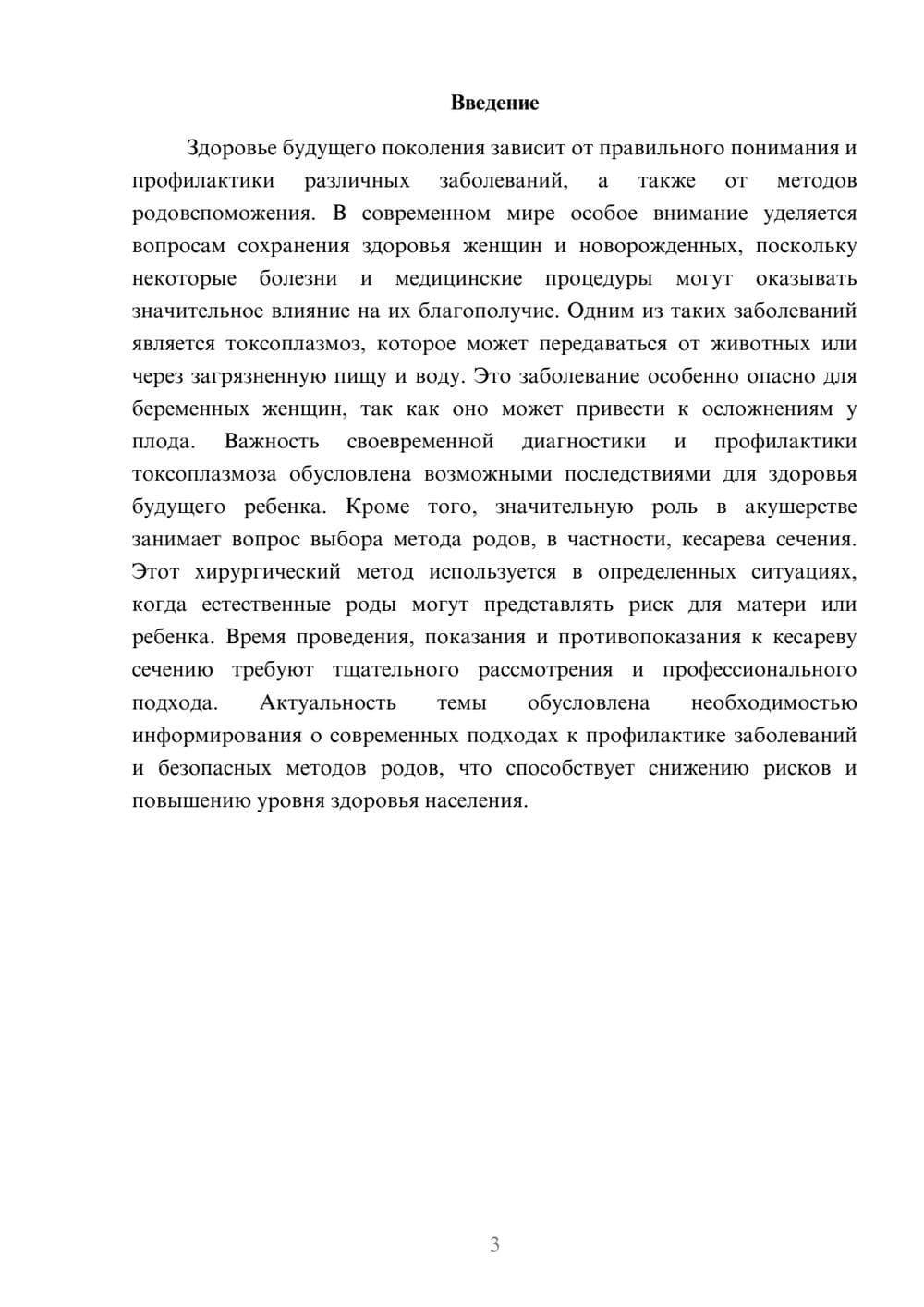 Предпросмотр доклада 3