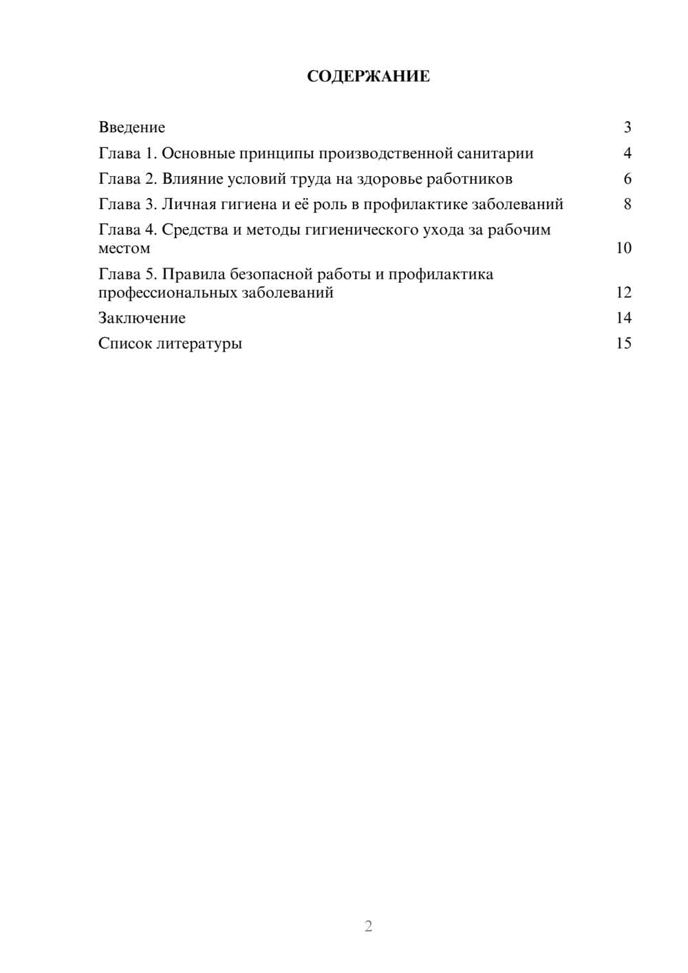 Предпросмотр доклада 2
