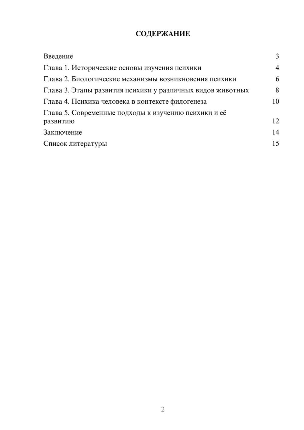 Предпросмотр доклада 2