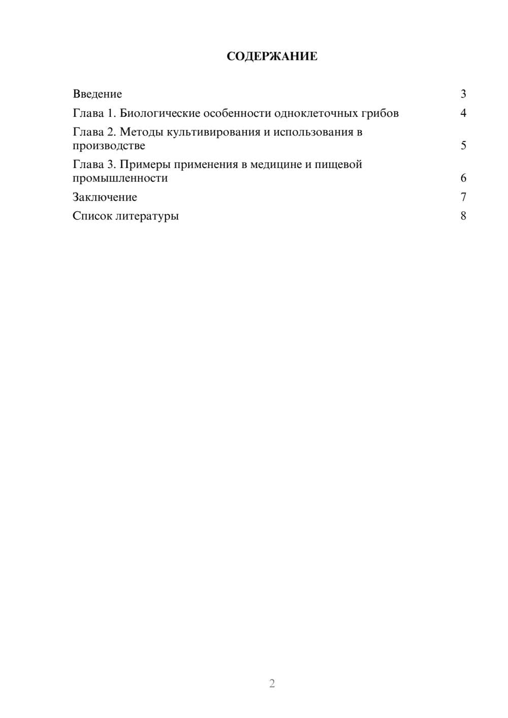 Предпросмотр доклада 2