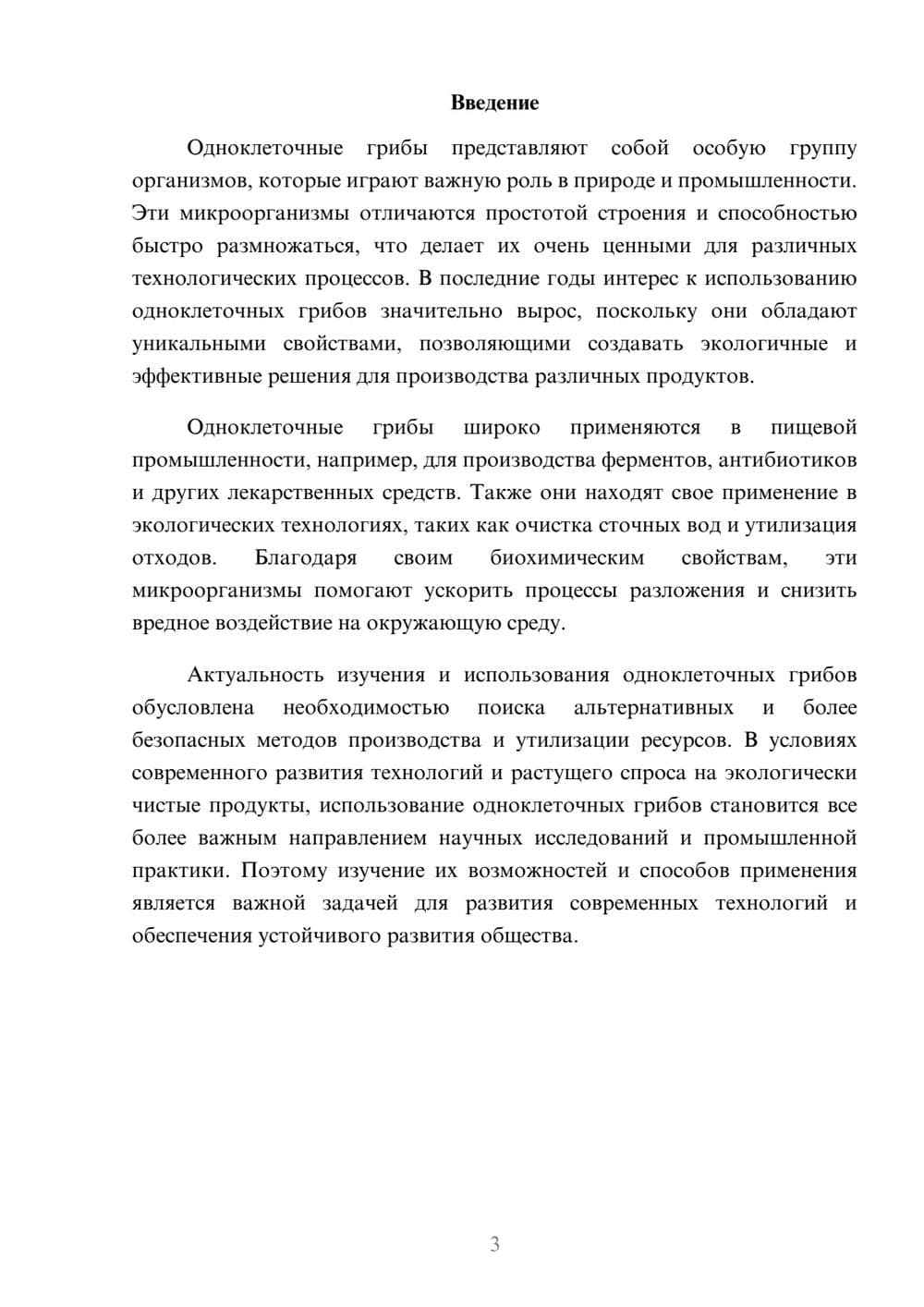 Предпросмотр доклада 3