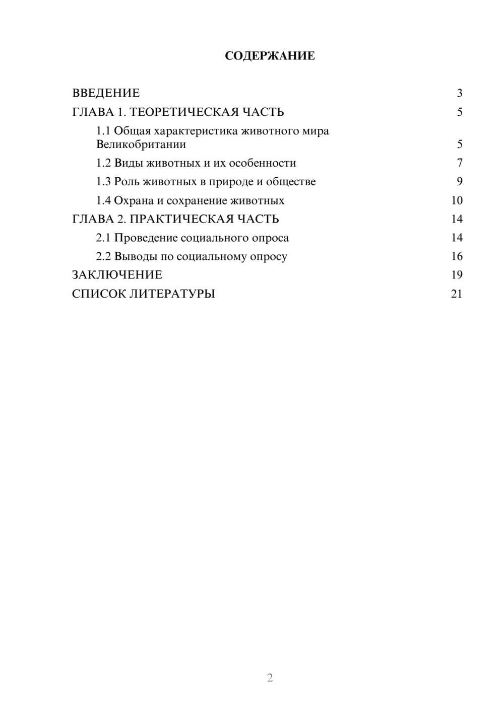 Предпросмотр проекта 2