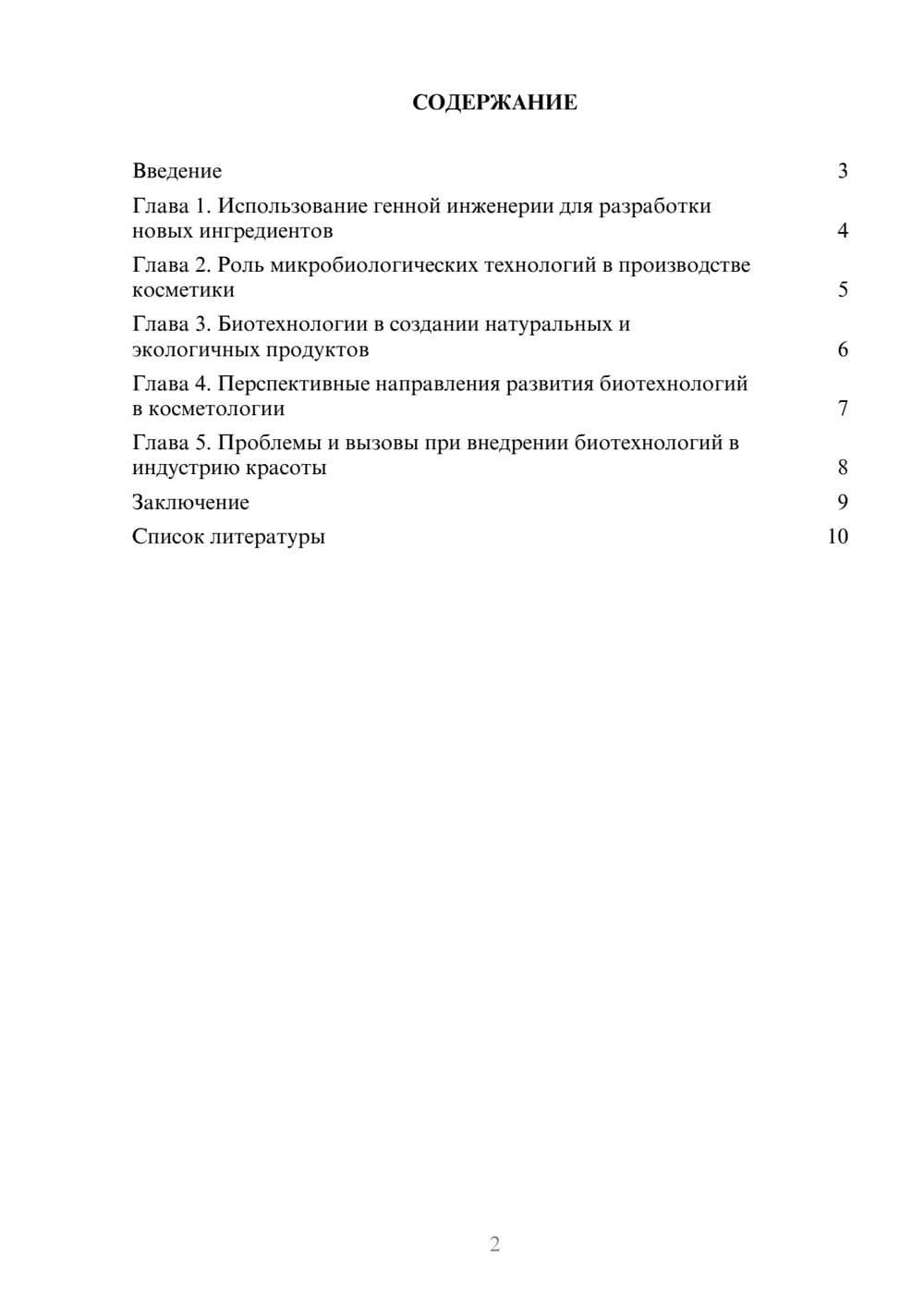 Предпросмотр доклада 2