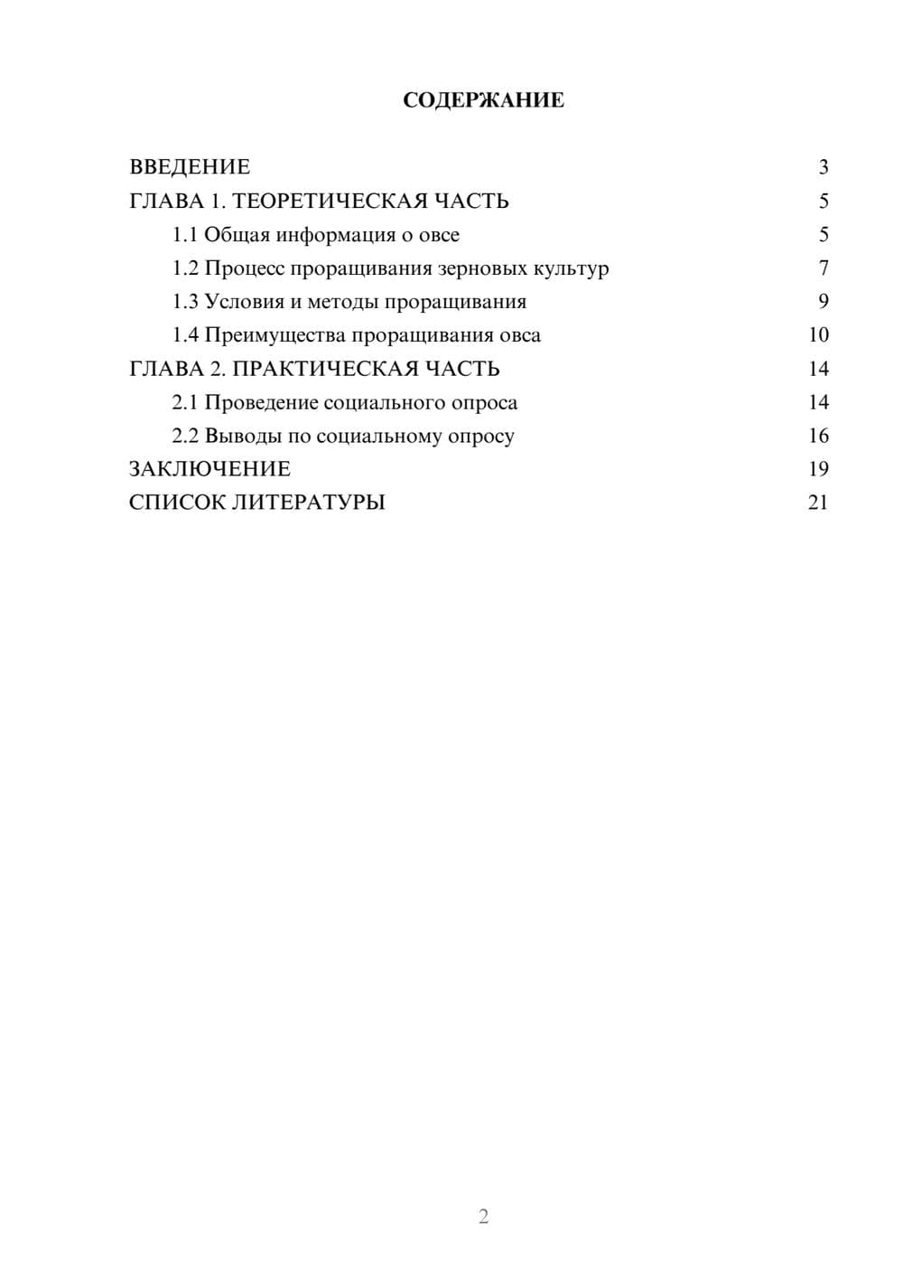 Предпросмотр проекта 2