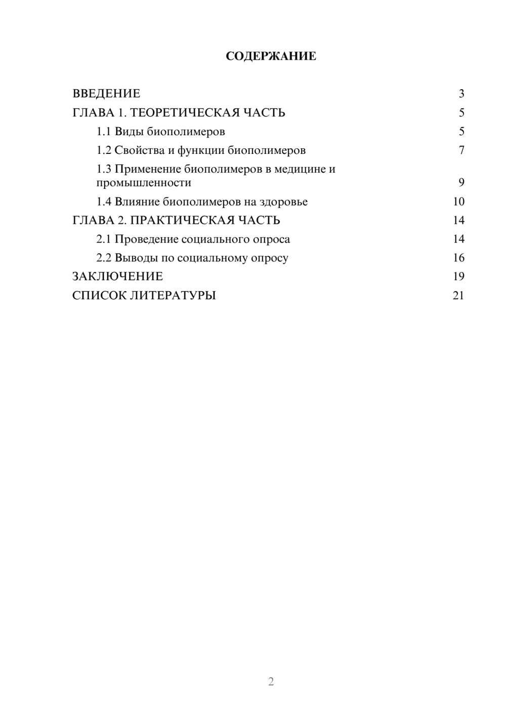 Предпросмотр проекта 2