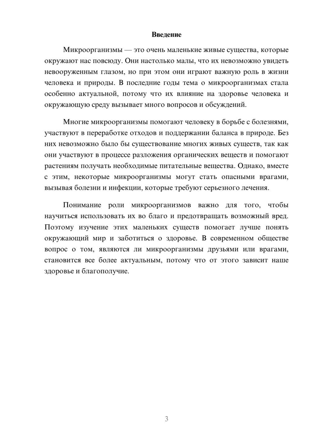 Предпросмотр доклада 3