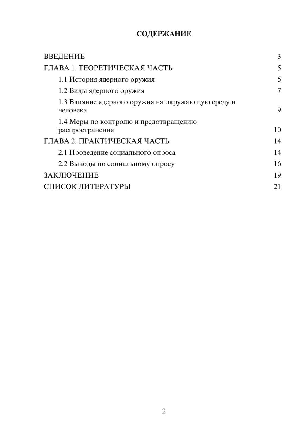 Предпросмотр проекта 2