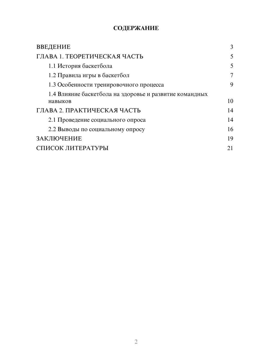 Предпросмотр проекта 2