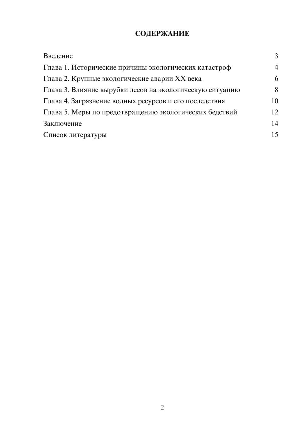 Предпросмотр доклада 2