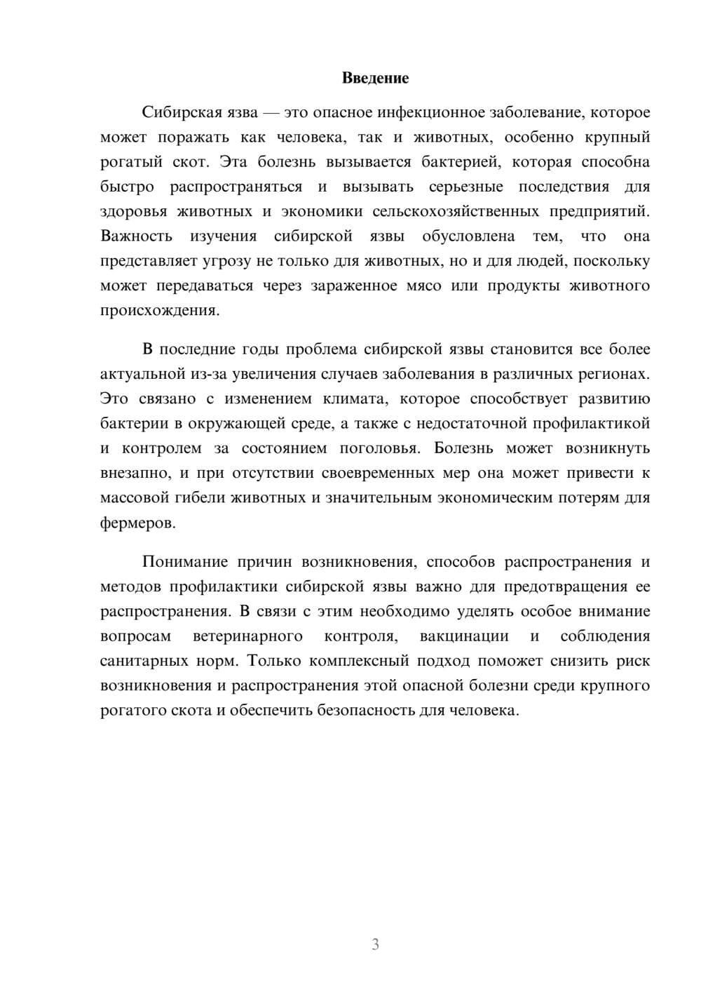 Предпросмотр доклада 3