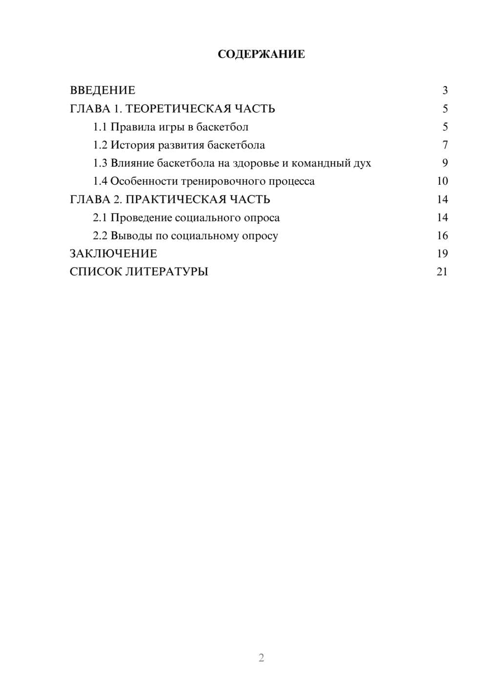 Предпросмотр проекта 2