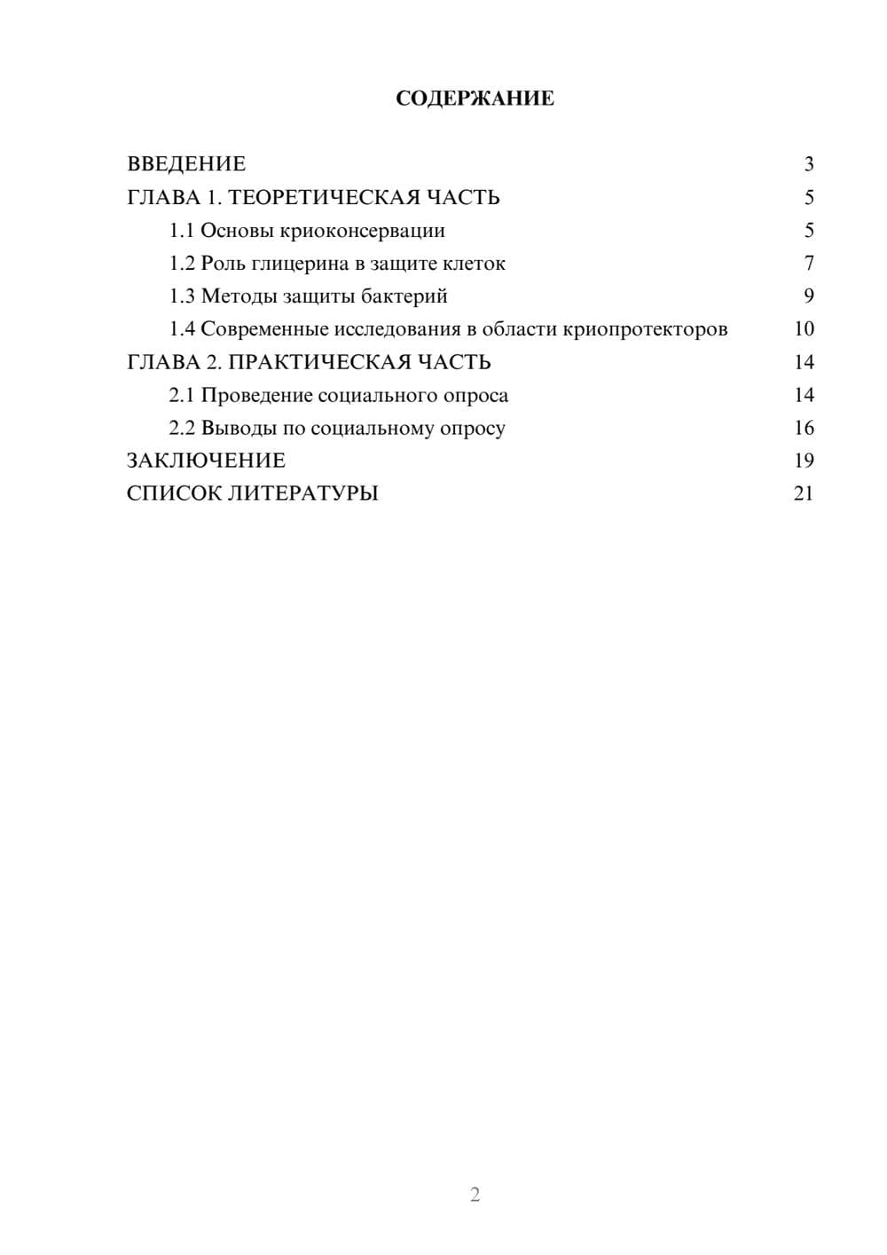 Предпросмотр проекта 2