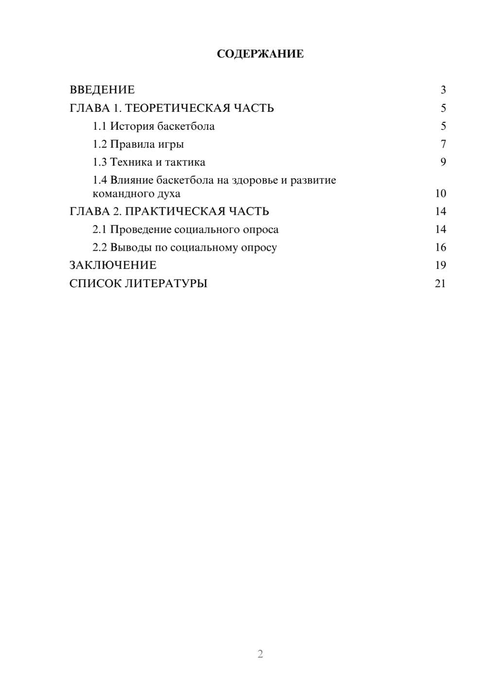 Предпросмотр проекта 2