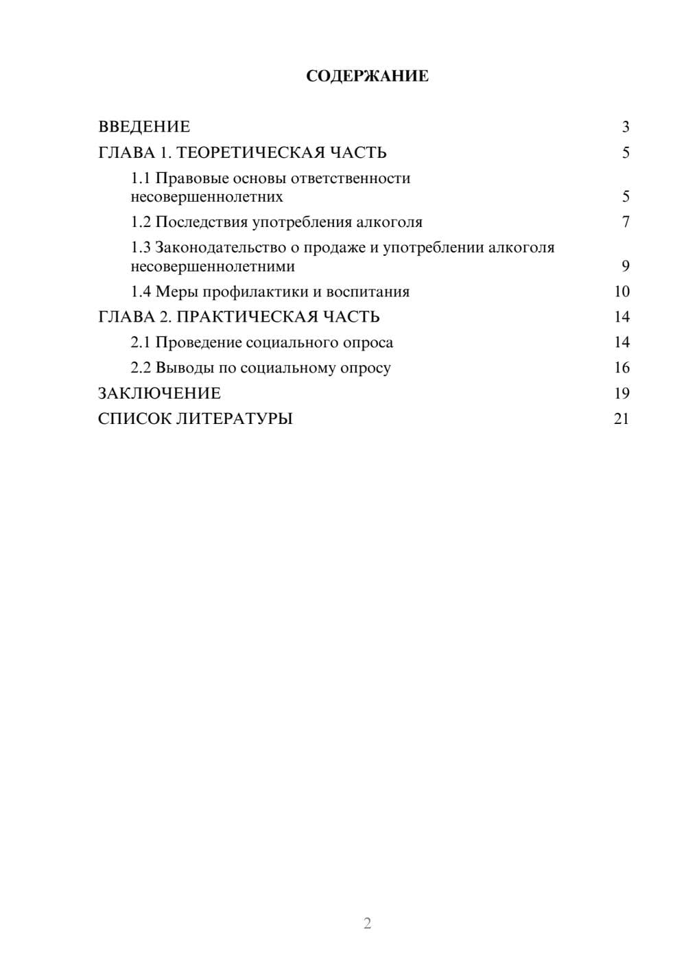 Предпросмотр проекта 2