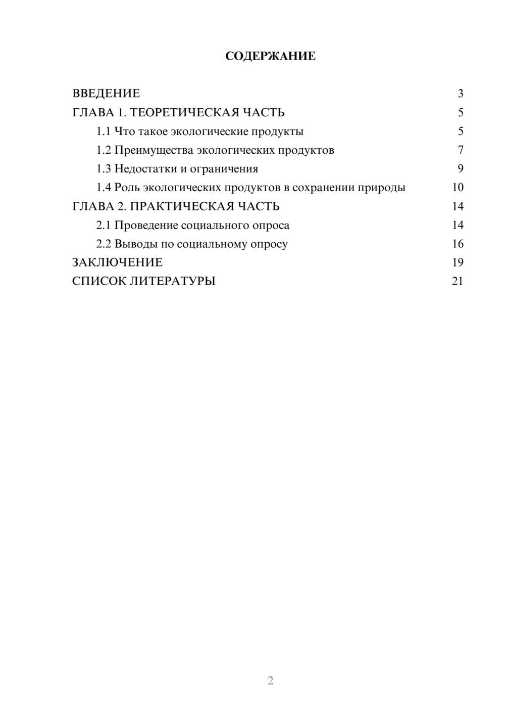 Предпросмотр проекта 2