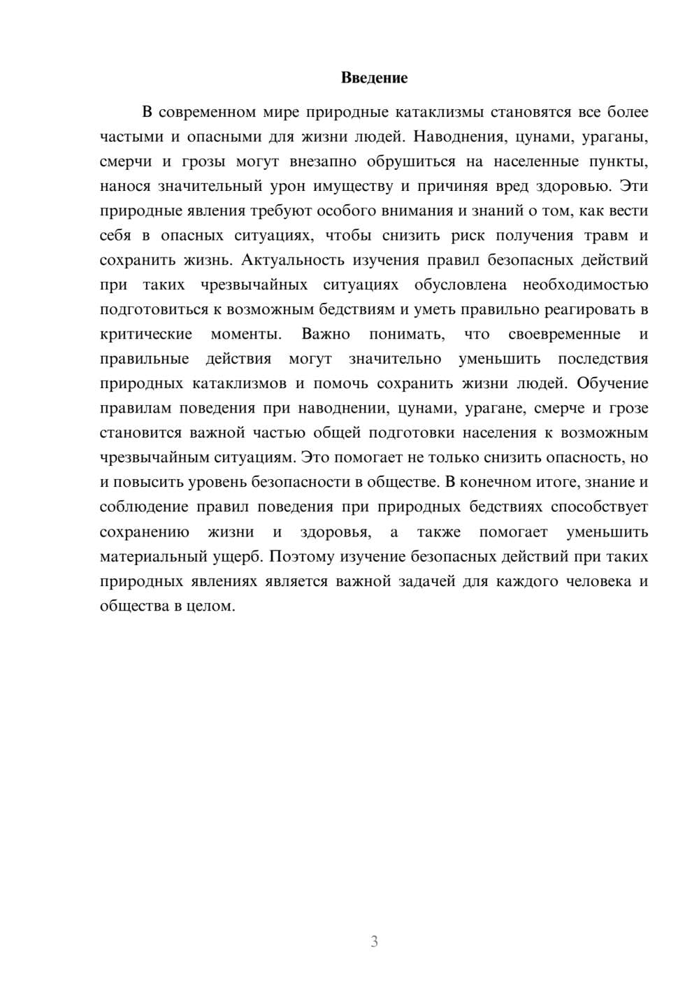 Предпросмотр доклада 3