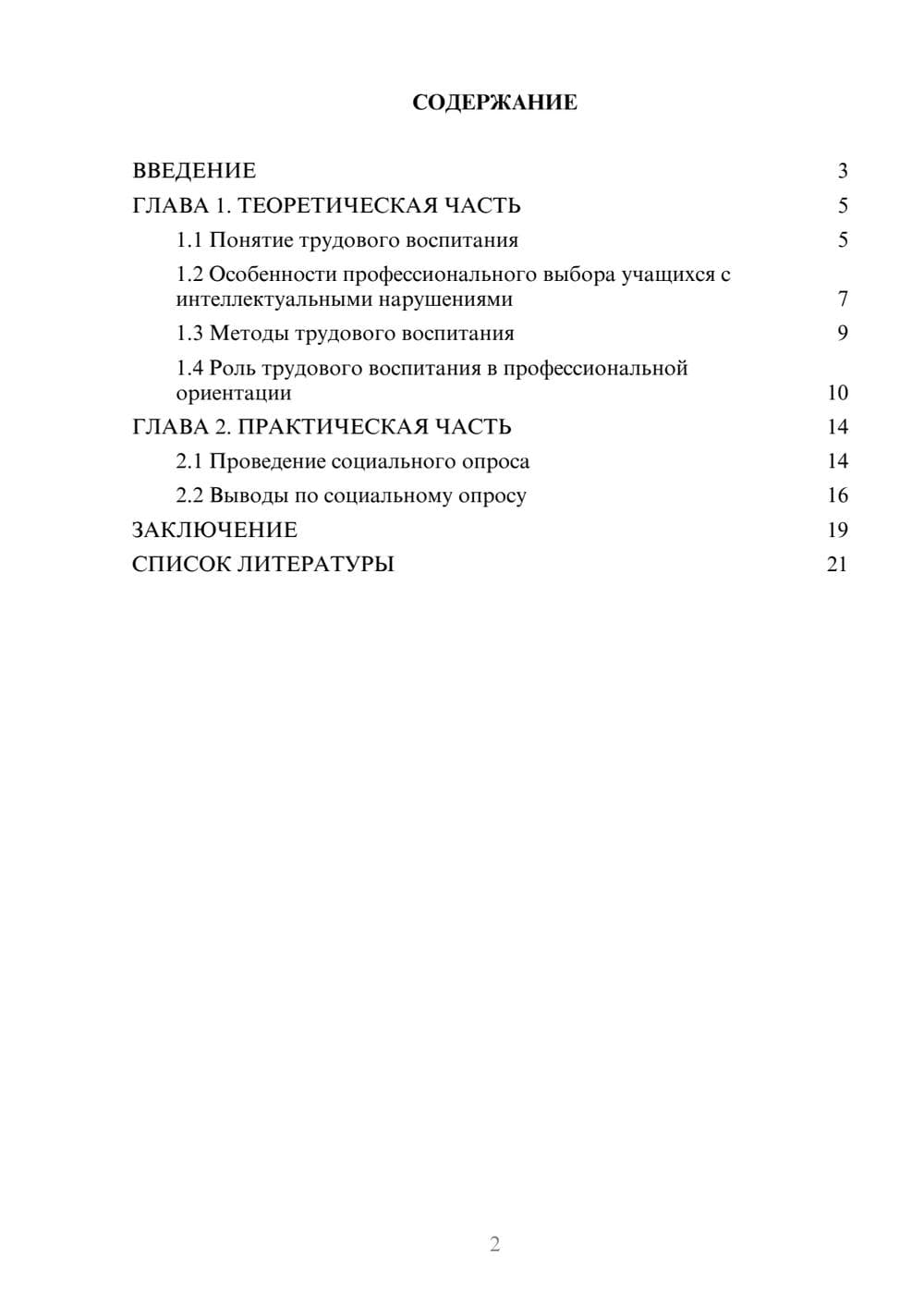 Предпросмотр проекта 2