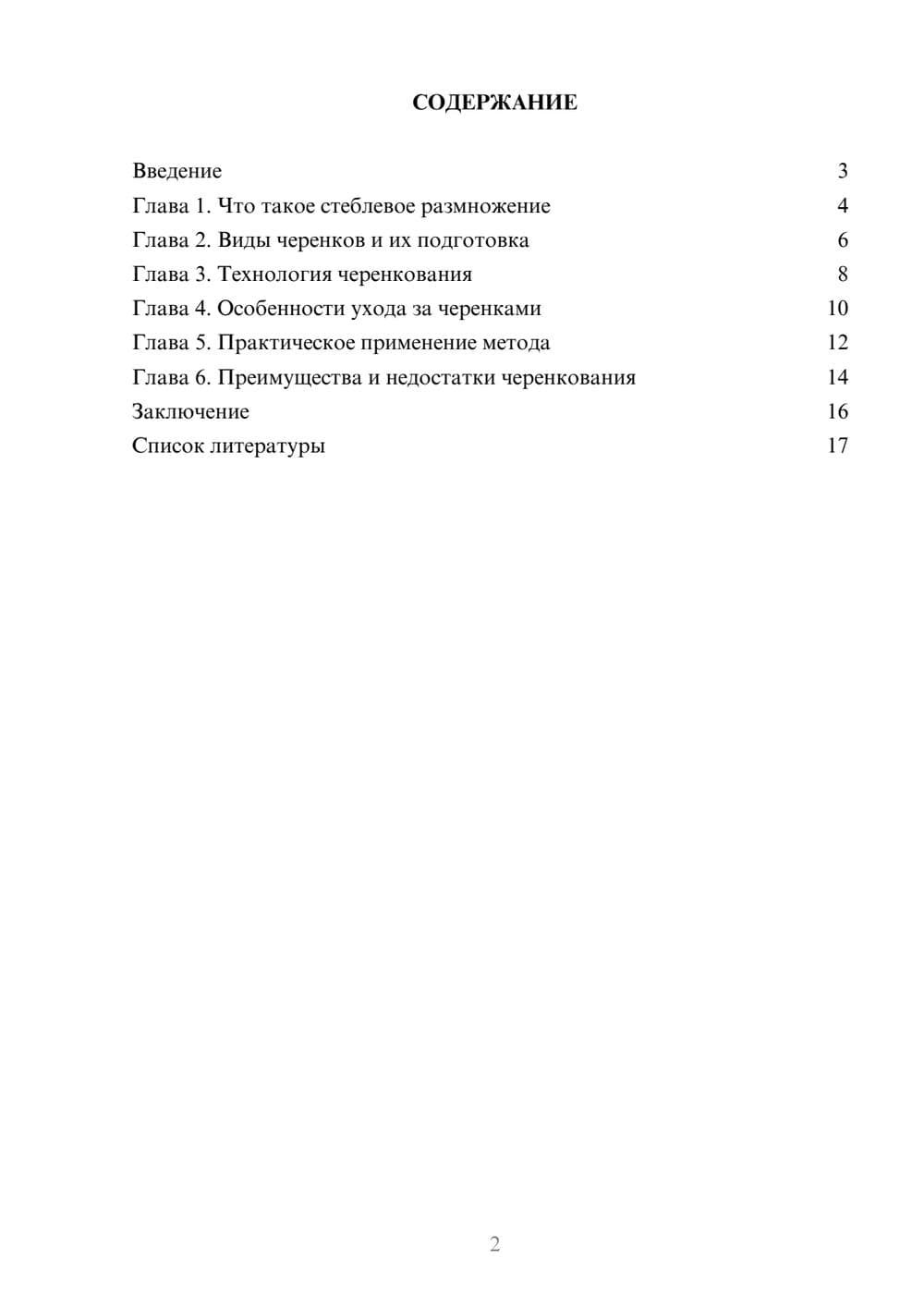 Предпросмотр доклада 2