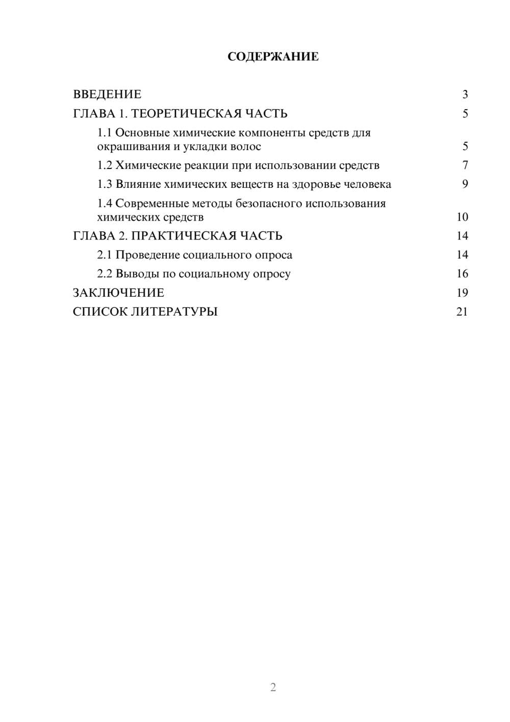 Предпросмотр проекта 2