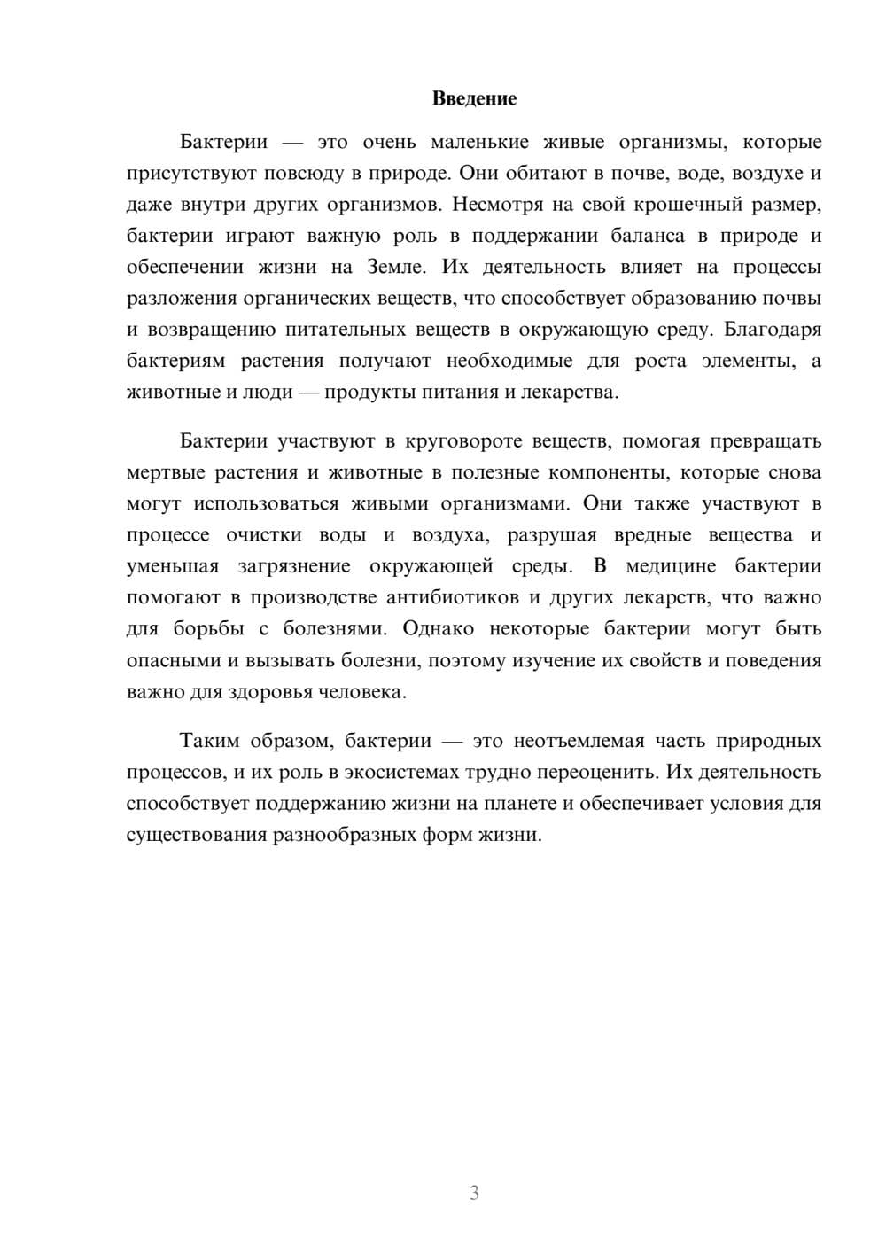 Предпросмотр доклада 3