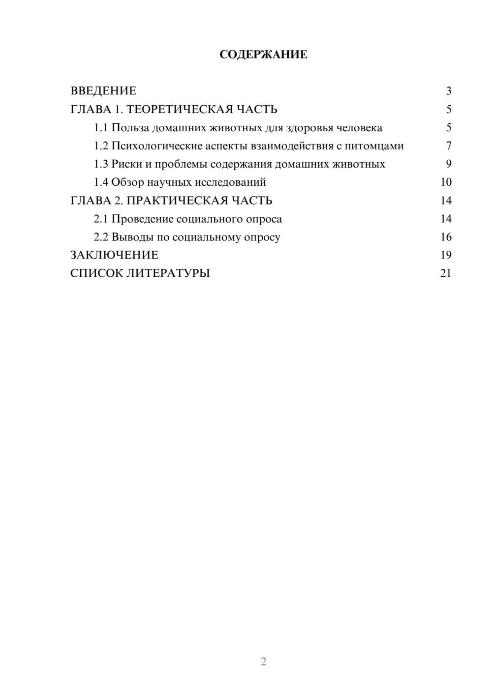 Предпросмотр проекта 2