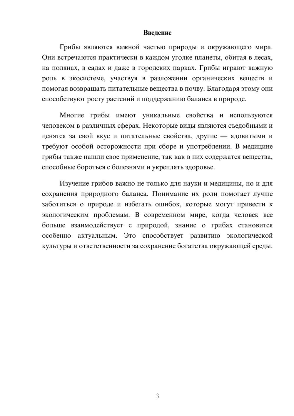 Предпросмотр доклада 3