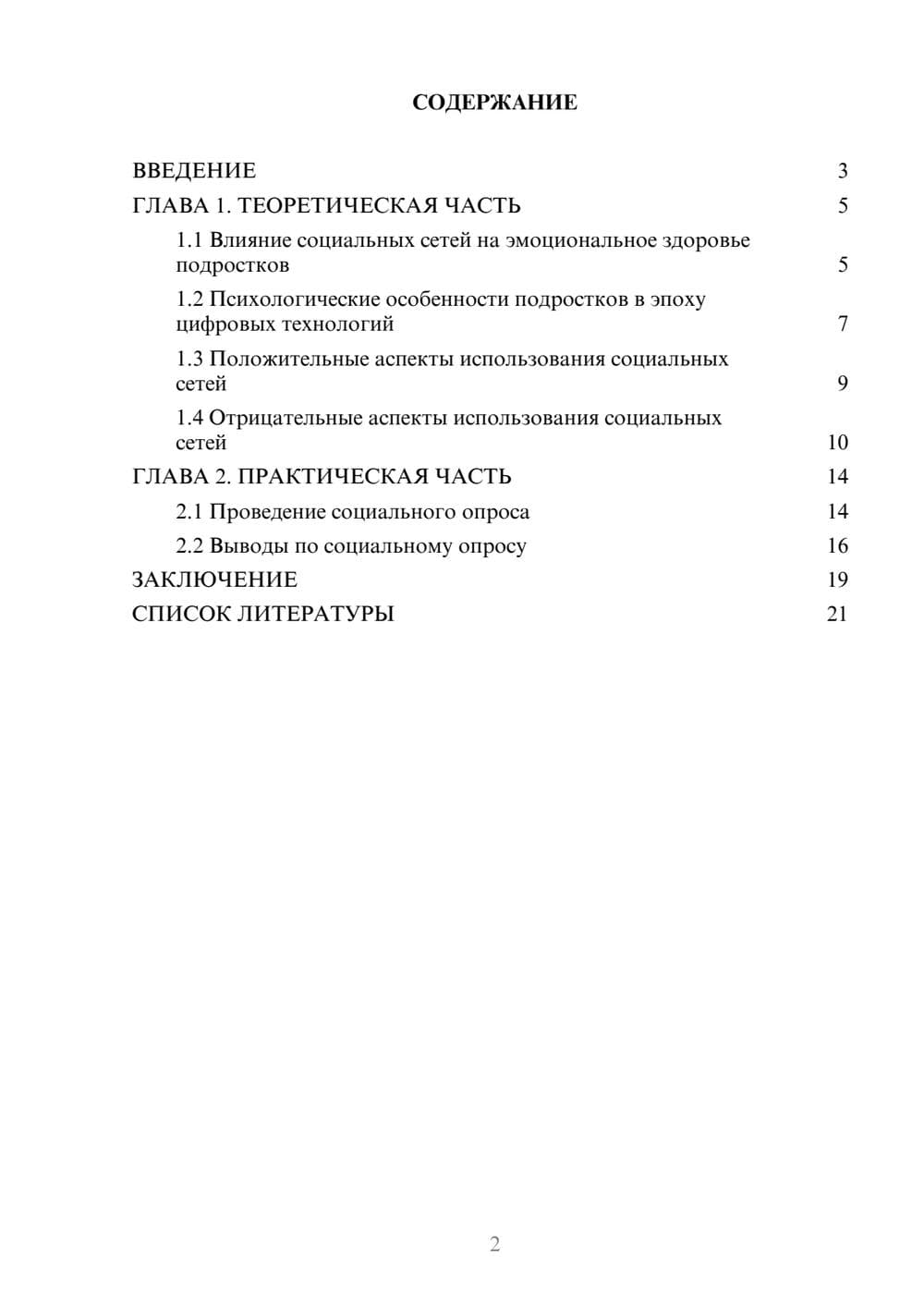 Предпросмотр проекта 2