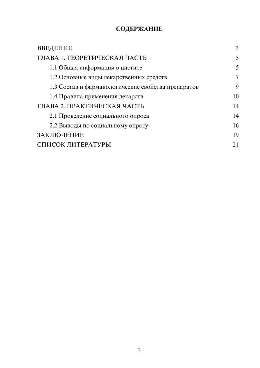 Предпросмотр проекта 2