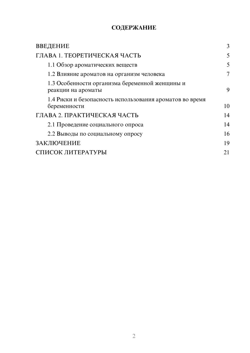 Предпросмотр проекта 2