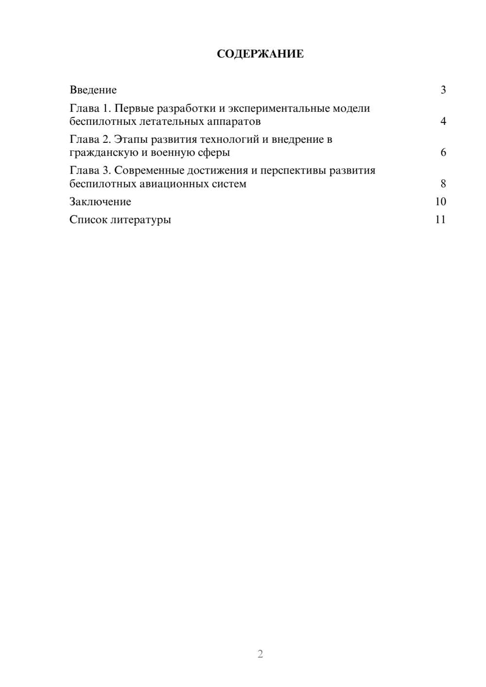 Предпросмотр доклада 2