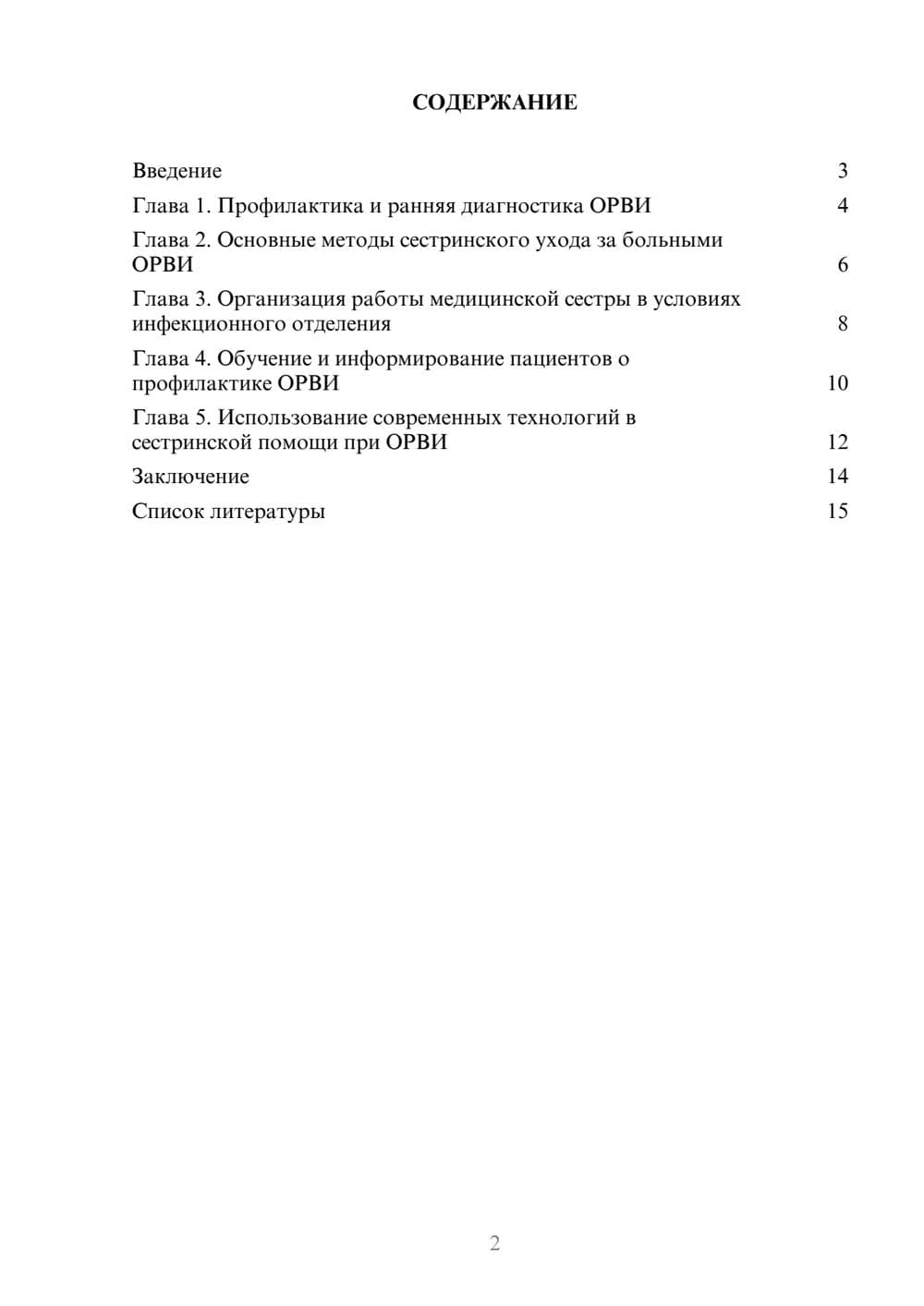 Предпросмотр доклада 2