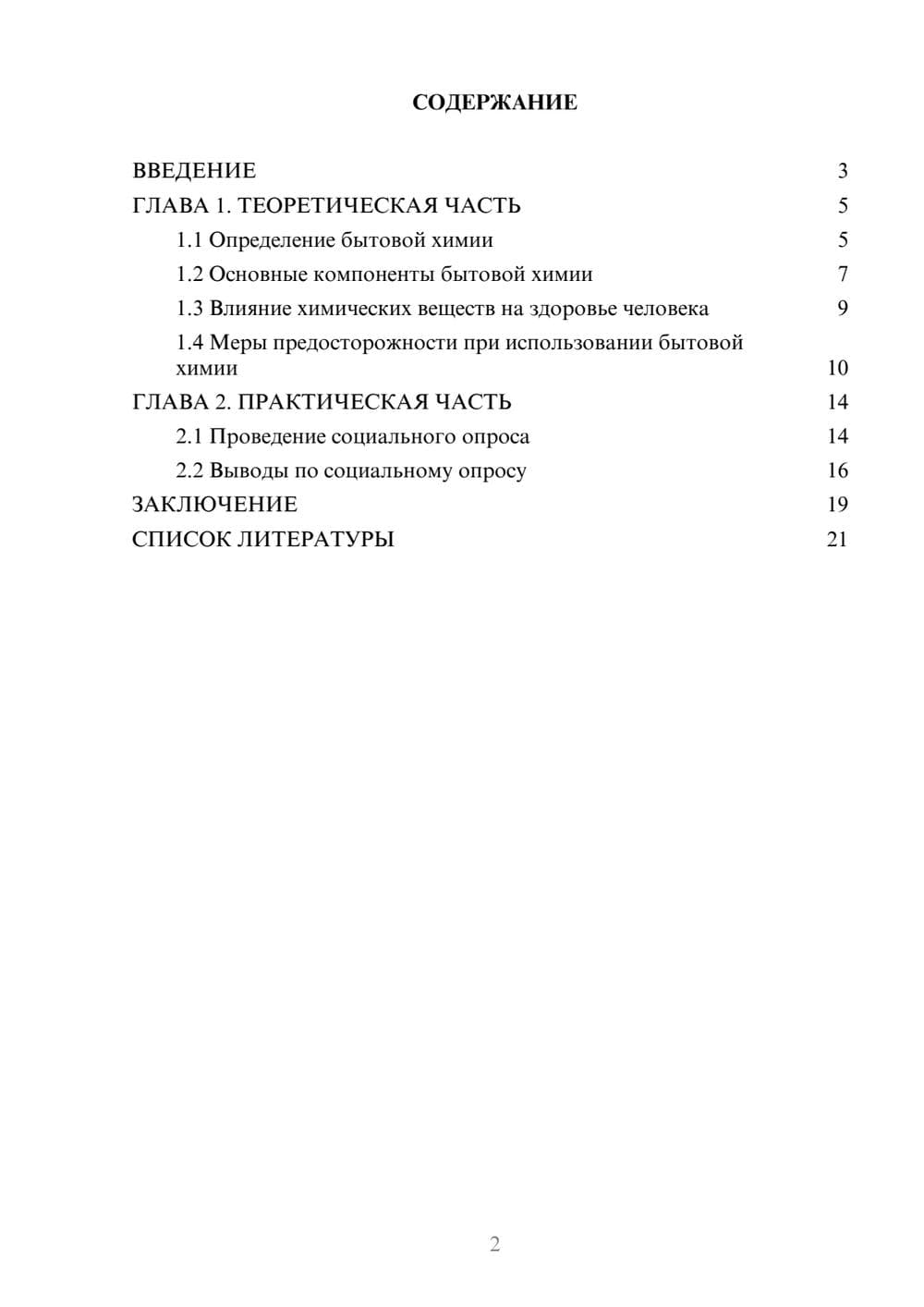 Предпросмотр проекта 2