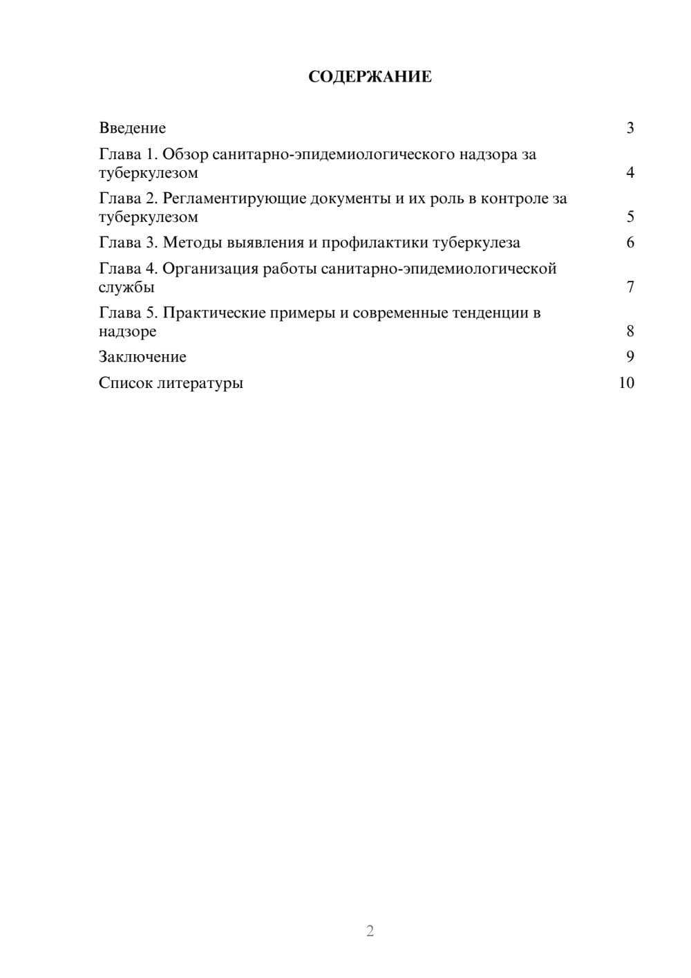 Предпросмотр доклада 2