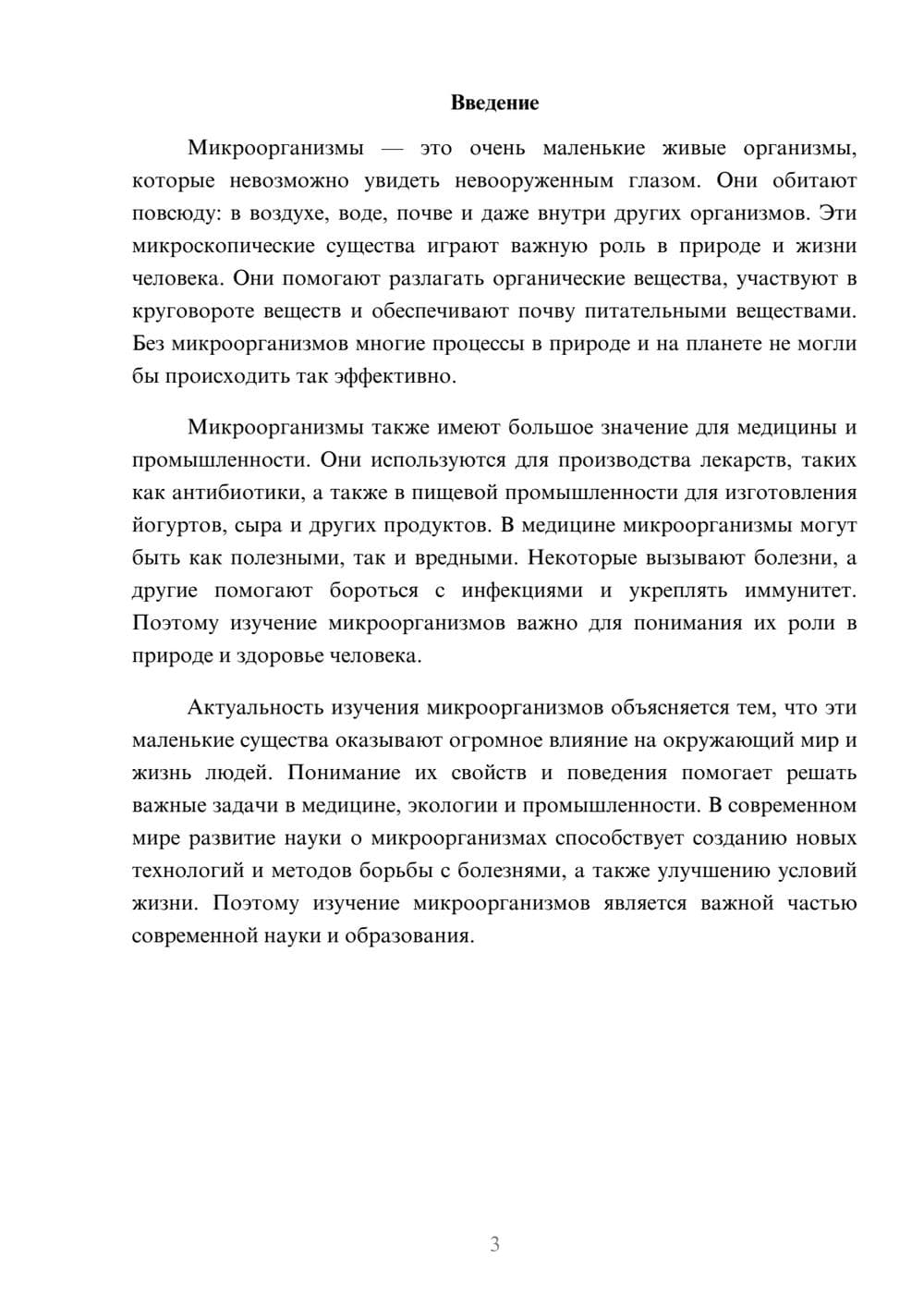 Предпросмотр доклада 3