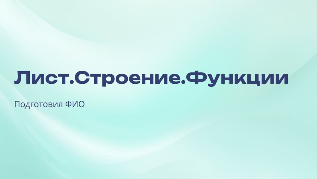 Слайд 1