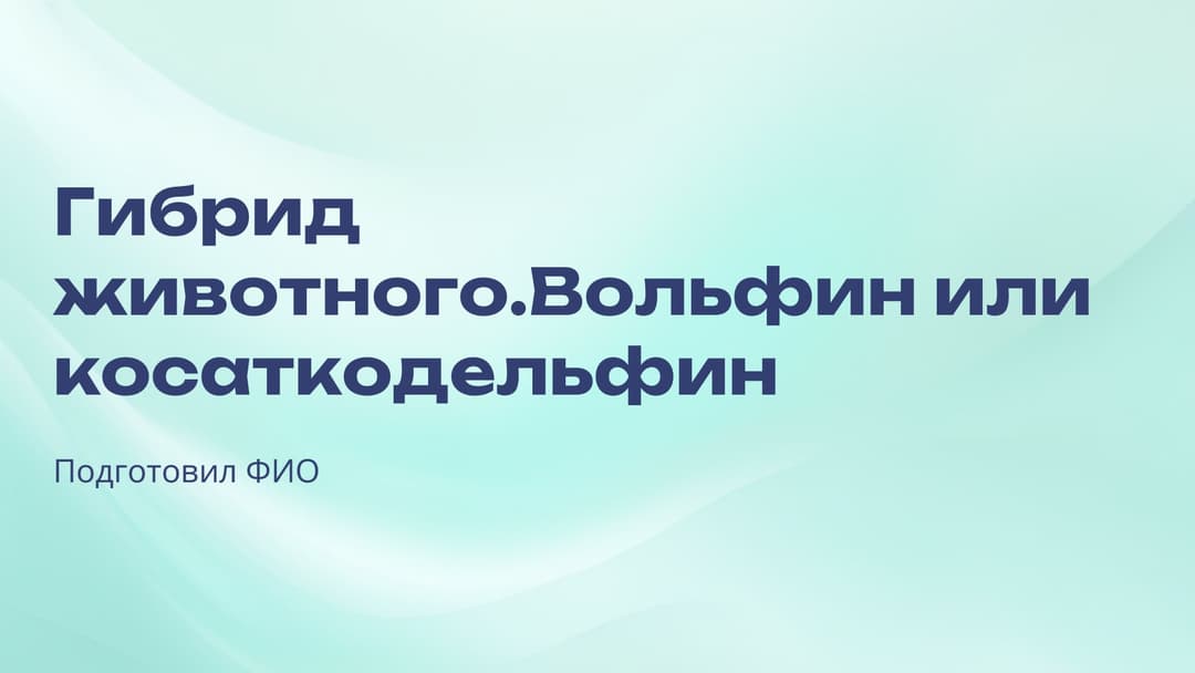 Слайд 1