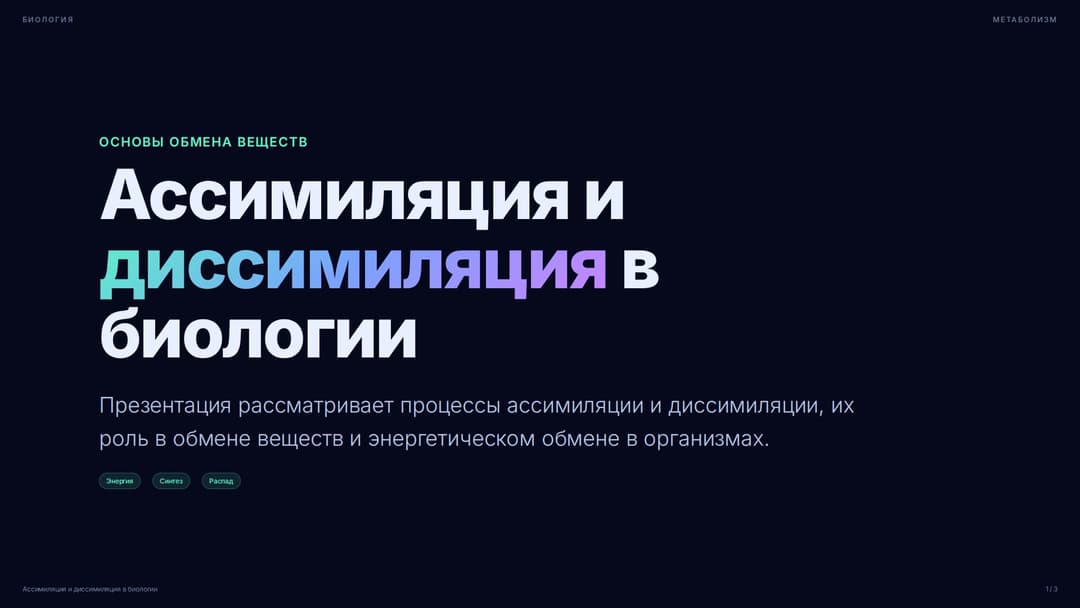 Слайд 1