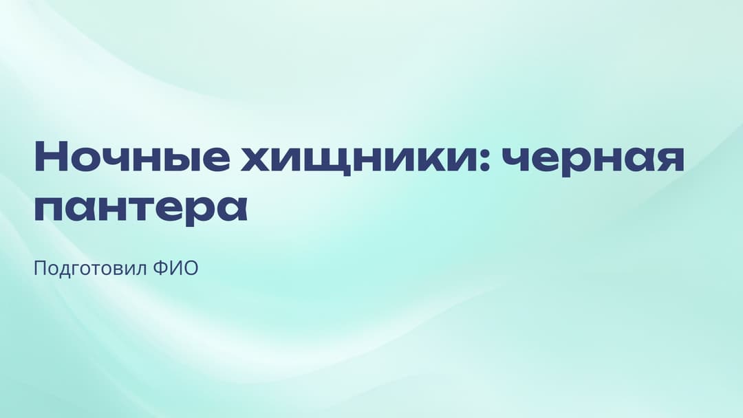 Слайд 1