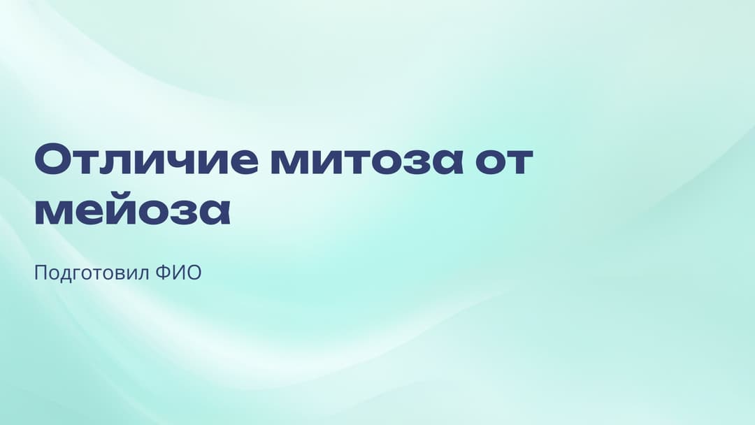 Слайд 1